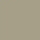 Saddle leather texture sample, col. 250, warm gray tone, matte finish, fine grain, smooth consistent surface, diffused lighting.